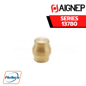 Aignep - 13780-PLUG FOR UNIVERSAL FITTINGS