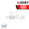 Aignep - 13800 -FEMALE HOSE ADAPTER FOR LOCKING HOSE SELF