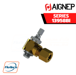 Aignep - 13958BI -ORIENTING FLOW REGULATOR FOR CYLINDER