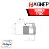 Aignep - 1700 -LOCKING NUT