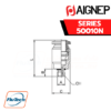 Aignep - 50010N -STRAIGHT MALE ADAPTOR WITH EXAGON EMBEDDED