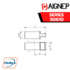 Aignep - 50610 - POLYAMIDE PLUG