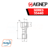 Aignep - 55440 MALE - FEMALE BANJO STEM SINGLE