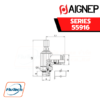 Aignep - 55916-ORIENTING FLOW REGULATOR FOR VALVE (PARALLEL)