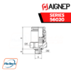 Aignep - 56020 -STRAIGHT MALE ADAPTOR (PARALLEL)