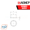 Aignep - 6053-CAP SEAL