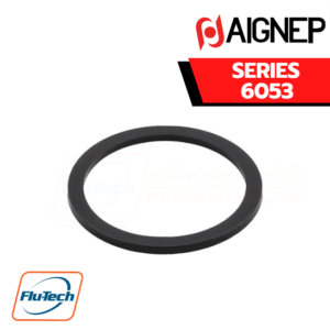 Aignep - 6053-CAP SEAL