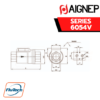 Aignep -6054V-COAXIAL VALVE