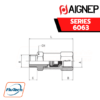 Aignep - 6063-MALE-FEMALE NON-RETURN VALVE