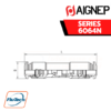 Aignep - 6064N-PUSH-IN CONNECTIONS NON-RETURN VALVE WITH BLACK RELEASE