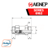 Aignep - 6162-MALE-MALE NON RETURN VALVE