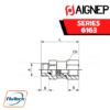 Aignep - 6163-MALE-FEMALE NON-RETURN VALVE