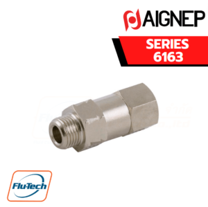 Aignep - 6163-MALE-FEMALE NON-RETURN VALVE