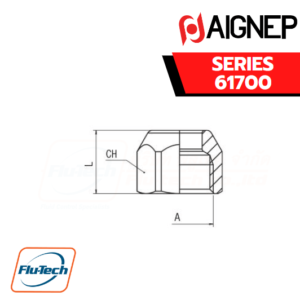 Aignep - 61700 -NUT