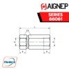 Aignep - 66061-FEMALE-FEMALE NON RETURN VALVE