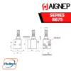 Aignep - 8875-VACUUM DRIVEN LIQUID SPRAYER