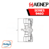 Aignep - 9460 - STRAIGHT CONNECTOR