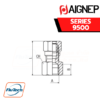 Aignep - 9500 - STRAIGHT FEMALE ADAPTOR