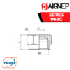 Aignep - 9680 - NUT