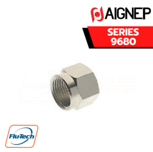 Aignep - 9680 - NUT