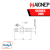 AIGNEP - 285 Series SHUTTER PLUG WITH REST FOR RUBBER HOSE