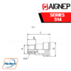 AIGNEP - 514 Series MALE SOCKET TAPER PRE-COATING THREAD