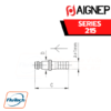 AIGNEP - SERIES 215 PLUG WITH REST FOR RUBBER HOSE