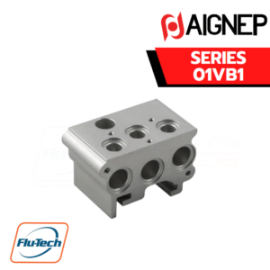 AIGNEP Valve - 01VB1 FRONT TERMINAL-BASED INTEGRATED