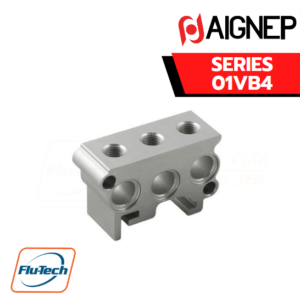 AIGNEP Valve - 01VB4 INTERMEDIATE POWER