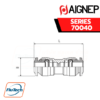 Aignep Food Grade Series 70040 - STRAIGHT CONNECTOR