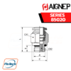 Aignep Push-In Fittings Serie 85020 INCH - STRAIGHT MALE ADAPTOR