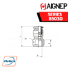 Aignep Push-In Fittings Serie 85030 INCH - STRAIGHT FEMALE ADAPTOR