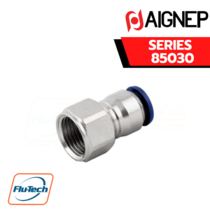 Aignep Push-In Fittings Serie 85030 INCH - STRAIGHT FEMALE ADAPTOR