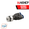 Aignep Push-In Fittings Serie 85320 INCH - ORIENTING Y MALE ADAPTOR UNIVERSAL SHORT