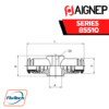 Aignep Push-In Fittings Serie 85510 INCH - DOUBLE BANJO BODY