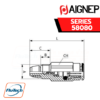 Aignep Push-In Fittings Series 58080 - NON-RETURN - PUSH-IN - PARALLEL THREAD