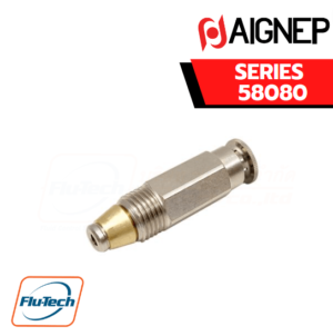 Aignep Push-In Fittings Series 58080 - NON-RETURN - PUSH-IN - PARALLEL THREAD