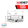 Aignep Push-In Fittings Series 58085 - NON-RETURN - PUSH-IN - THREAD (TAPER)