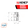 Aignep Push-In Fittings Series 60000 - STRAIGHT MALE ADAPTOR (TAPER)