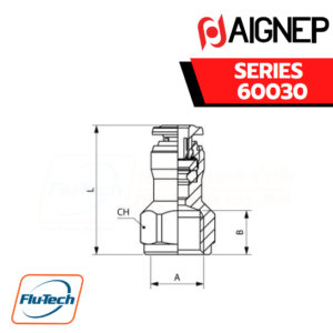 Aignep Push-In Fittings Series 60030 - STRAIGHT FEMALE ADAPTOR