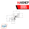 Aignep Push-In Fittings Series 60115X - ORIENTING ELBOW MALE ADAPTOR (PARALLEL)