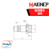 ข้อต่อสวมเร็ว AIGNEP - 811 Series MALE PLUG