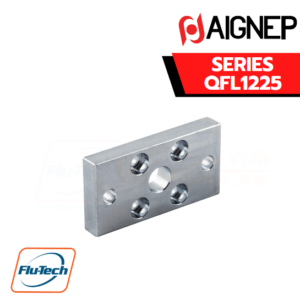 AIGNEP AUTOMATION - Pneumatic Actuators QFL1225 SERIES FLANGE - STEEL - Bore from 12 to 25