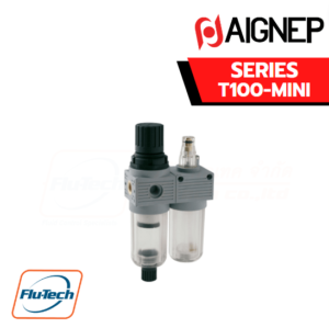 AIGNEP AUTOMATION - Pneumatic Actuators T100-MINI SERIES FR + L