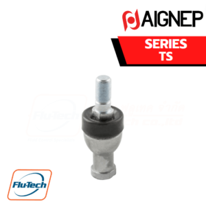 AIGNEP AUTOMATION - Pneumatic Actuators TS SERIES PIN WITH SNODABLE YOKE - STEEL