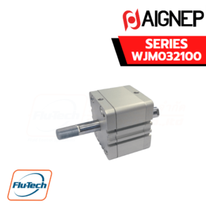 AIGNEP AUTOMATION - Pneumatic Actuators WJM032100 SERIES DOUBLE ACTING MAGNETIC WITH DOUBLE ROD END - Male Rod - Bore from 32 to 100