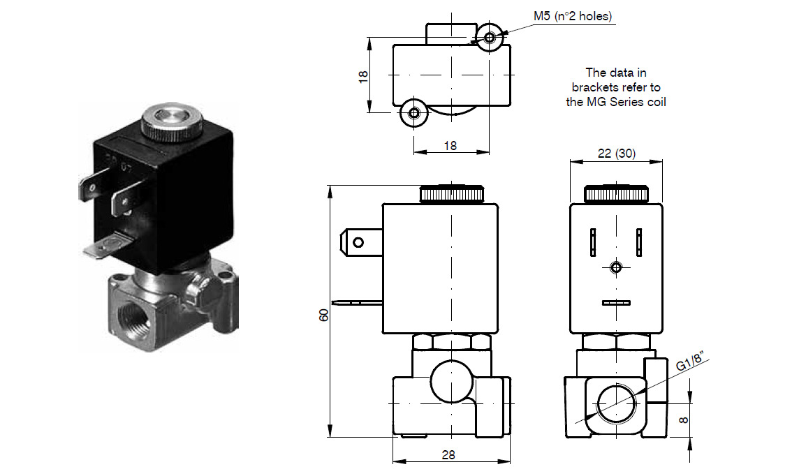 โซลินอยด์วาล์ว 2 ทาง รุ่น F3105 N.C. BRASS BODY, WITH G CONNECTION (ISO 228) – 1/8” Dimensions