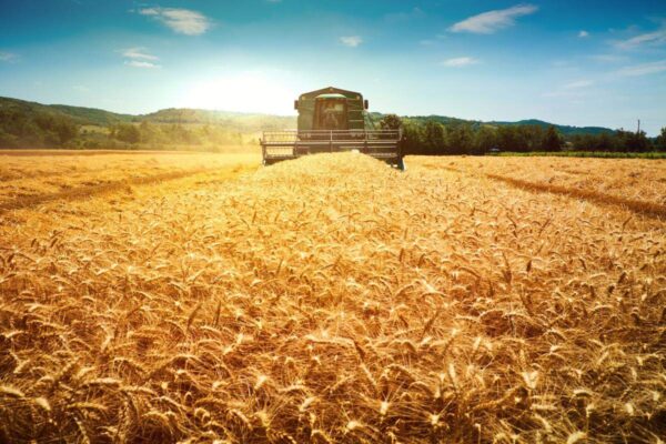 Agricultural Production of Food Crop and Grain through Harvesting Yields and Storing Them - การผลิตทางการเกษตร การเก็บเกี่ยวผลผลิตและการเก็บรักษา - บริษัท ฟลูเทค จํากัด - Flutech Co., Ltd.