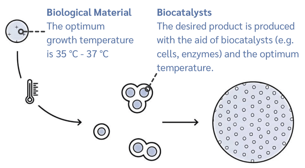 Fermentation Process Reproducible Processes are Key - Burkert Thailand Distributor - Flu-Tech Co., Ltd. - @flutech.co.th