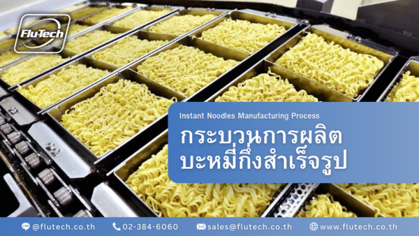 Instant Noodles Manufacturing Process - กระบวนการผลิตบะหมี่กึ่งสําเร็จรูป - Flu-Tech Co., Ltd.